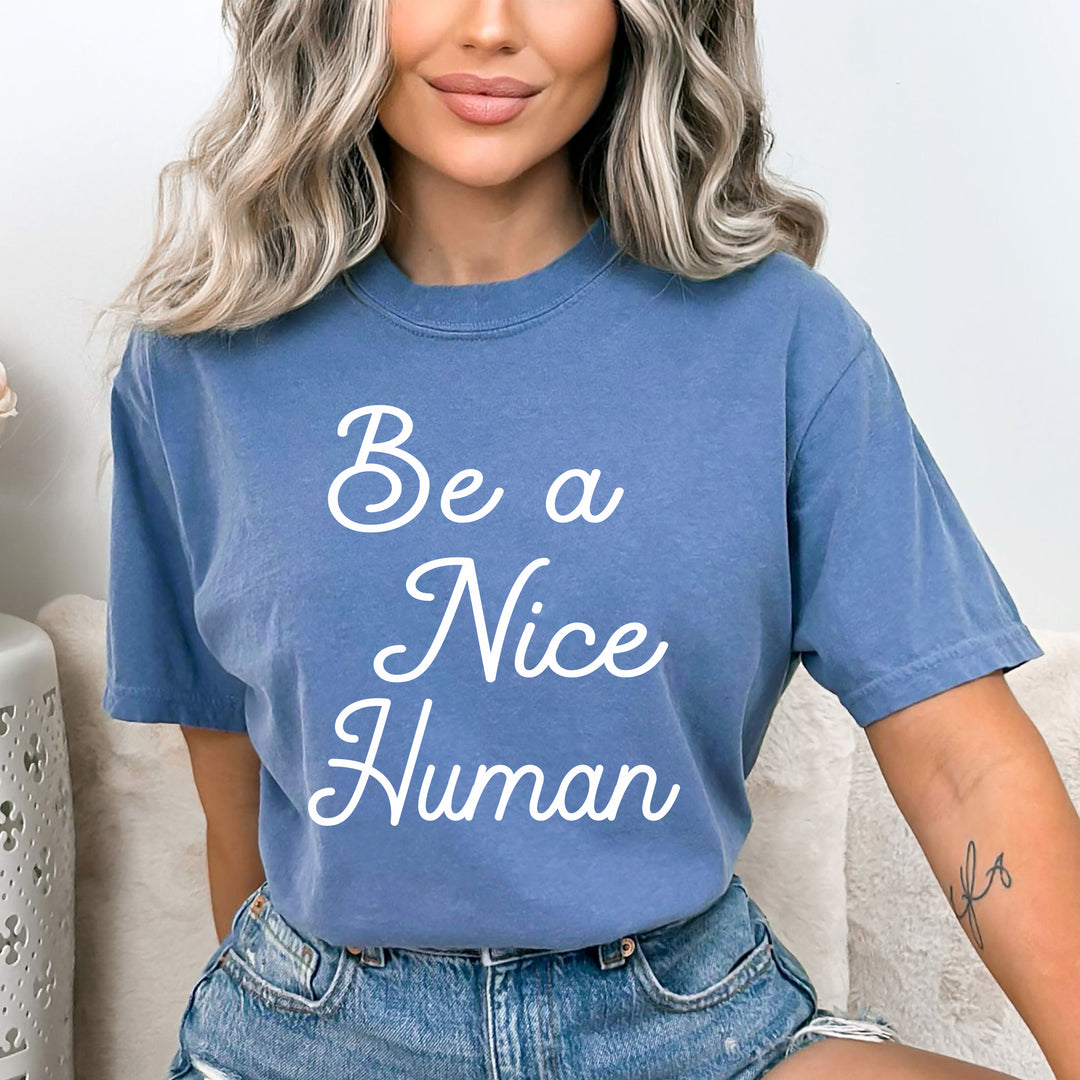 " Be a Nice Human " - Bella Canvas T-Shirt