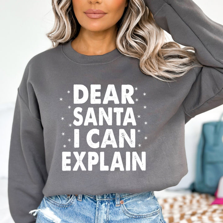 Dear Santa I Can Explain - Sweatshirt & Hoodie