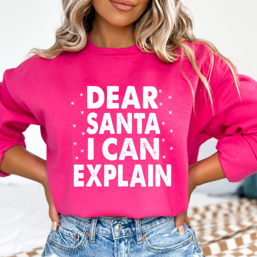 Dear Santa I Can Explain - Sweatshirt & Hoodie