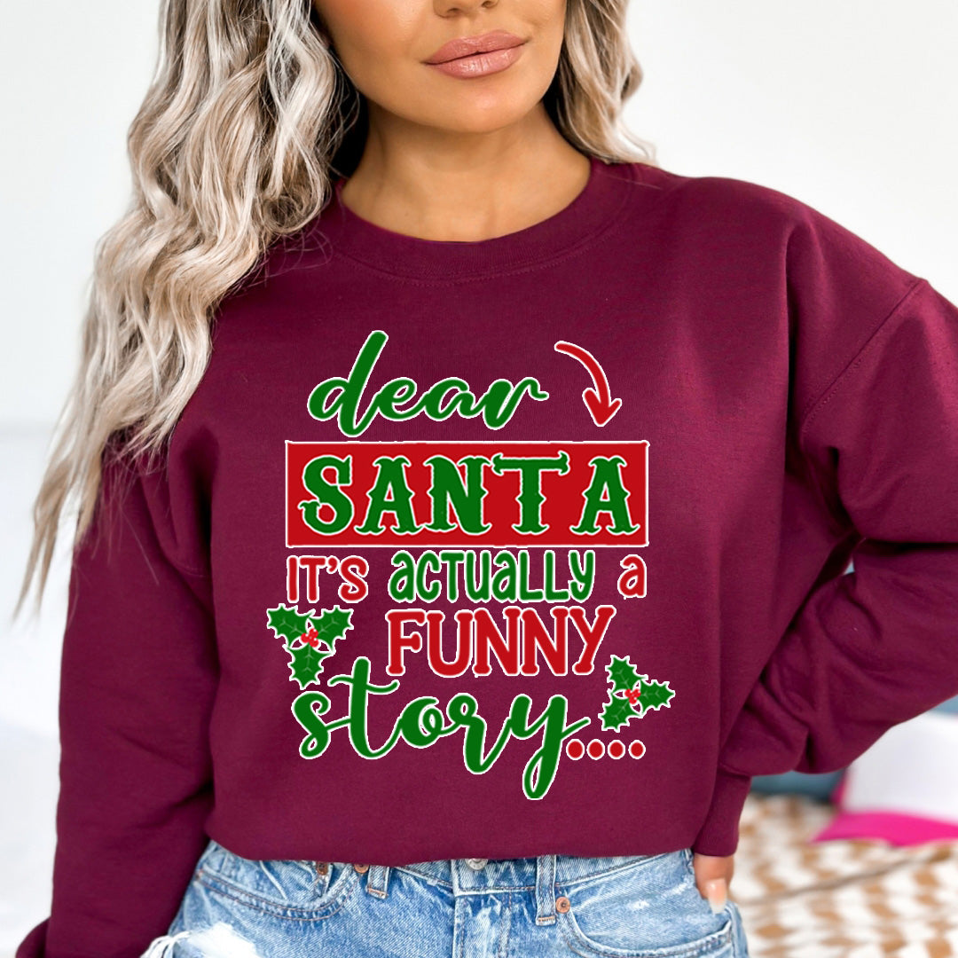 Santa It's Actually A Funny Story - Sweatshirt & Hoodie