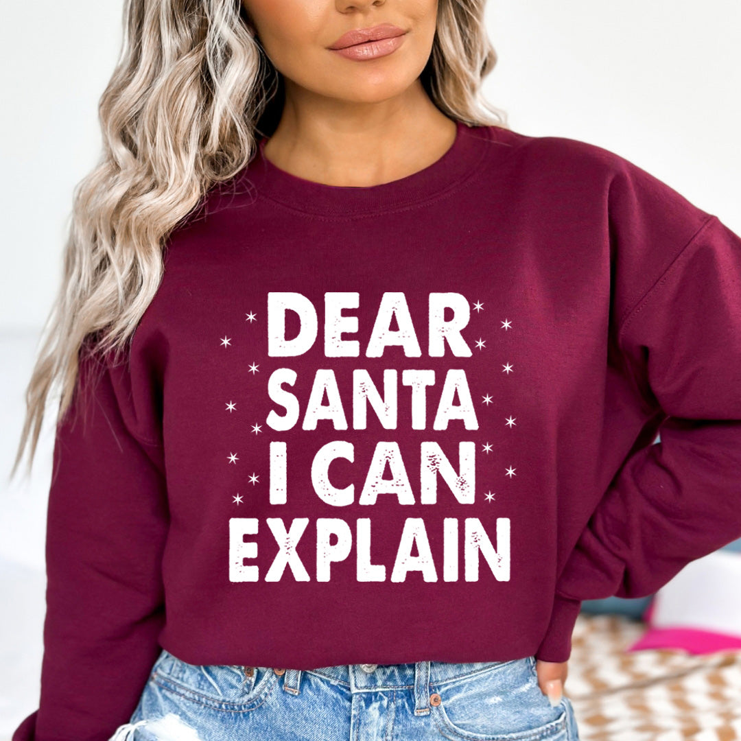 Dear Santa I Can Explain - Sweatshirt & Hoodie