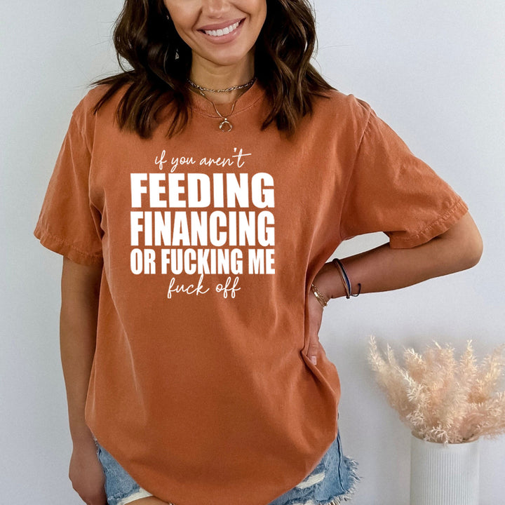 If You Aren't Feeding Financing - Bella Canvas