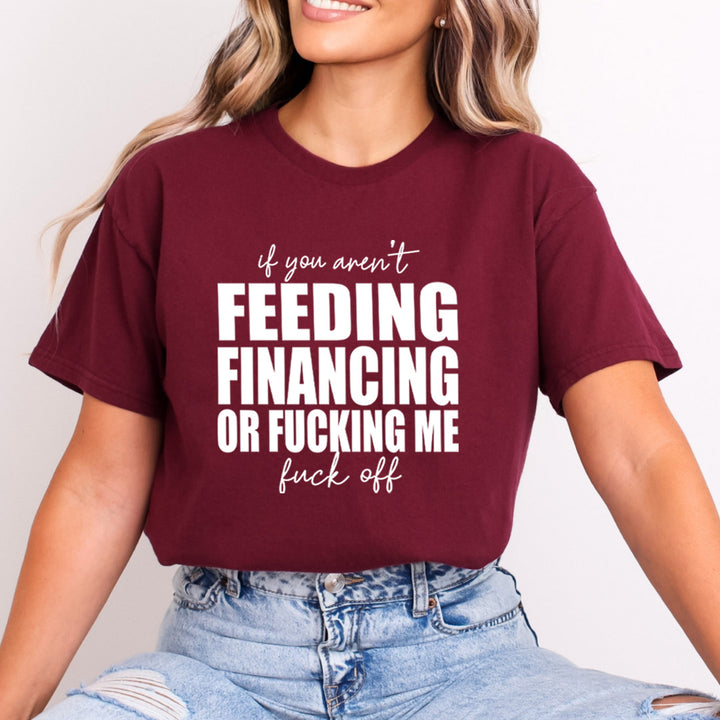 If You Aren't Feeding Financing - Bella Canvas