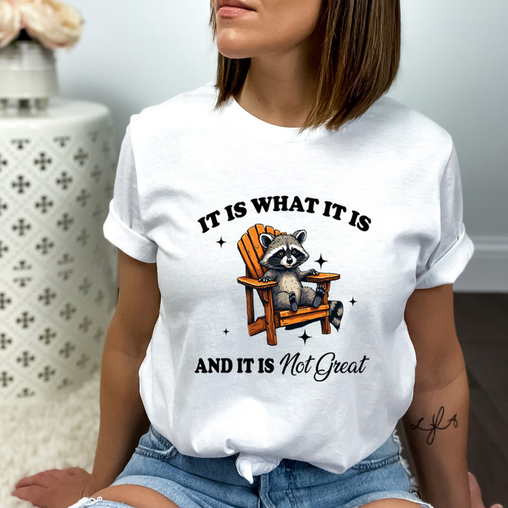 It Is What It Is And It Is Not Great - Bella Canvas