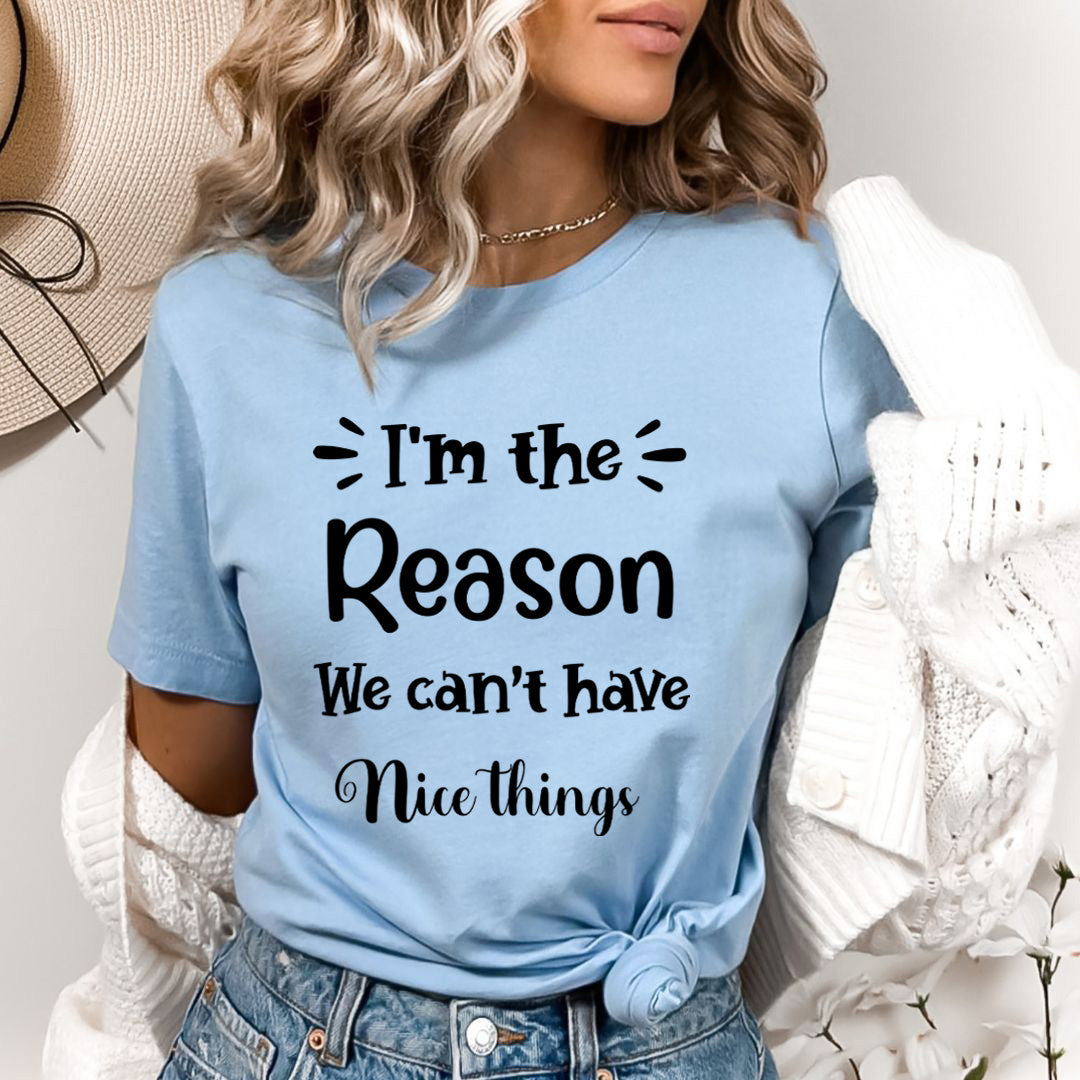 We Can't Have Nice Things - Bella Canvas