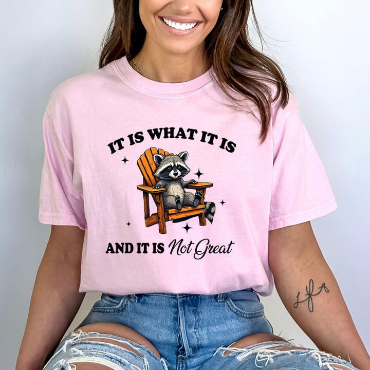 It Is What It Is And It Is Not Great - Bella Canvas