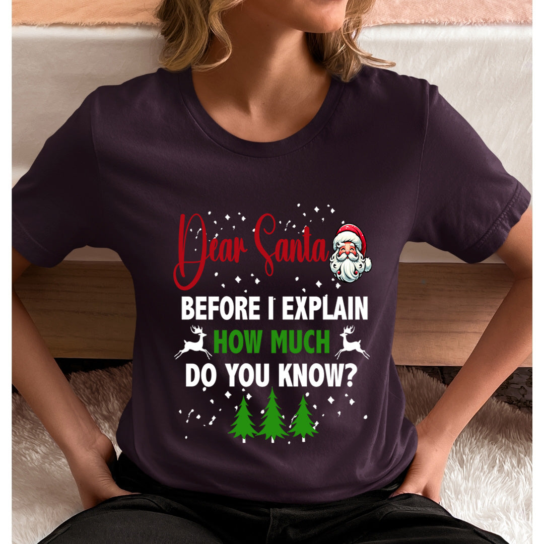 Dear Santa Before I Explain - Unisex T-Shirt