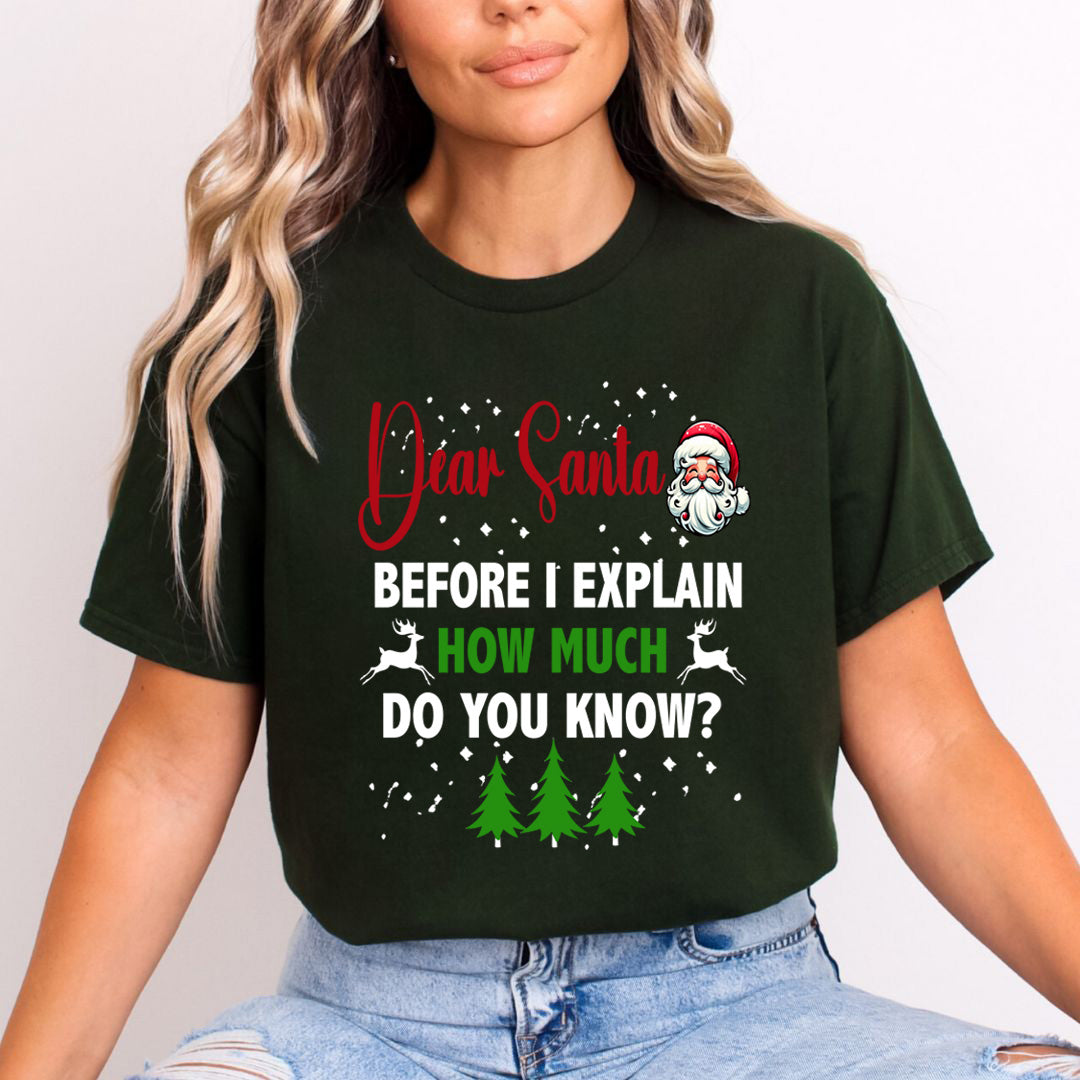 Dear Santa Before I Explain - Unisex T-Shirt