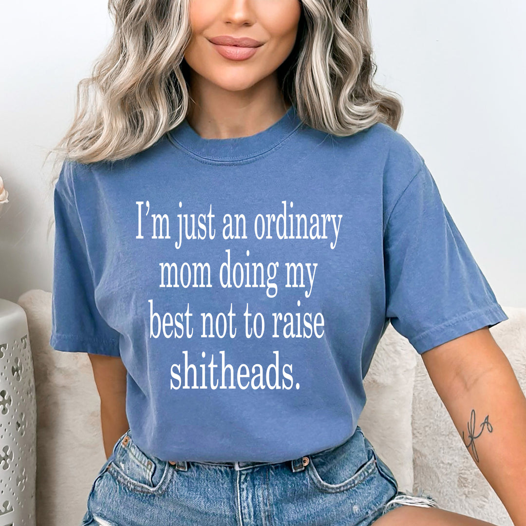 " I'm Just an Ordinary Mom " - Bella Canvas T-Shirt
