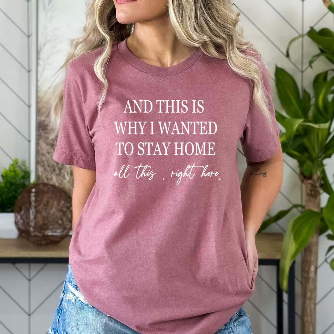 Why I Wanted To Stay Home - Bella Canvas
