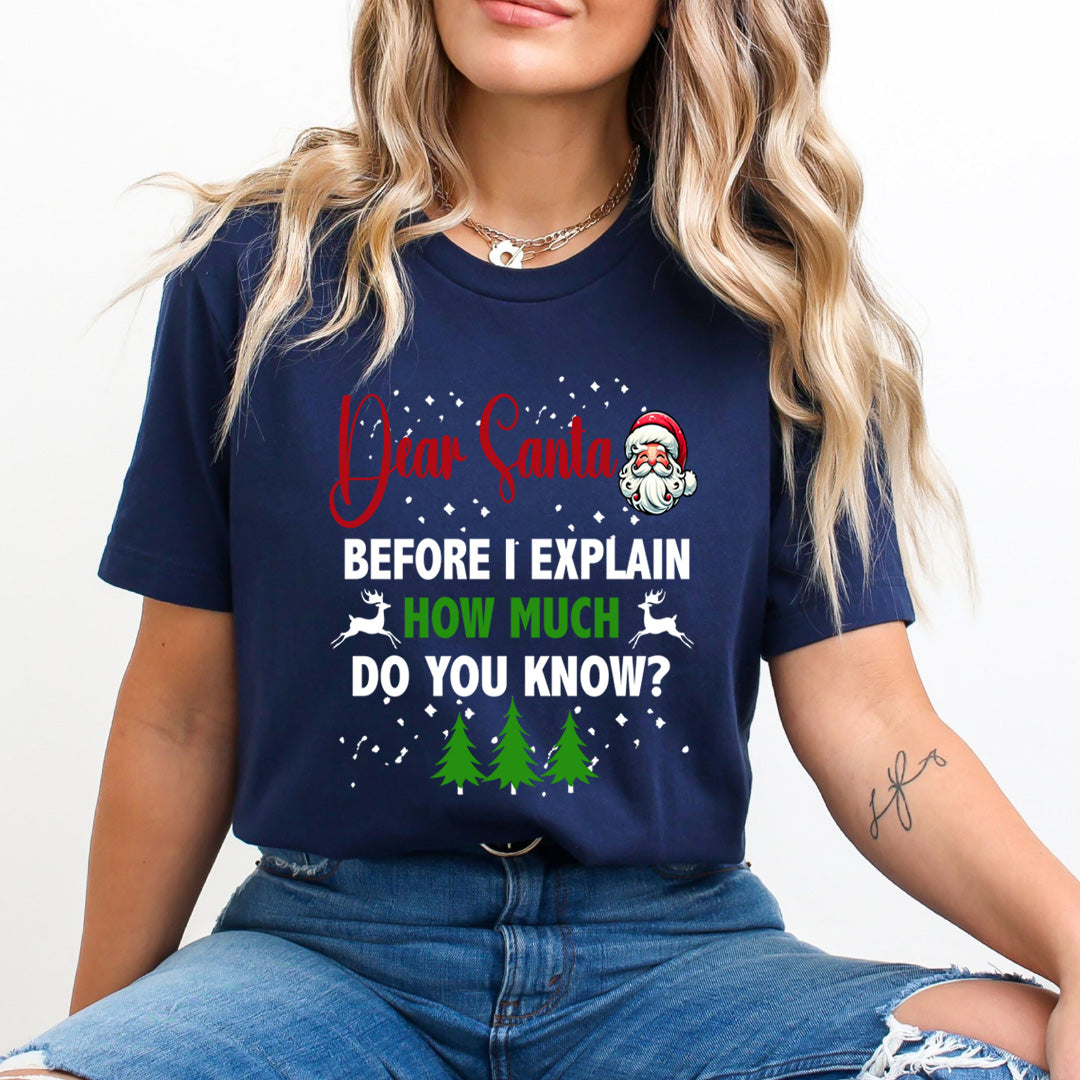 Dear Santa Before I Explain - Unisex T-Shirt