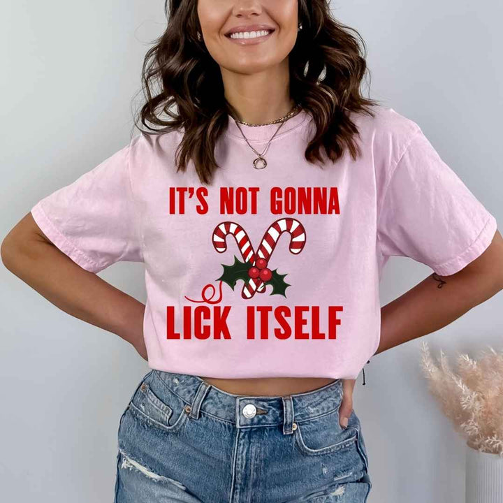 It's Not Gonna Lick Itself - Bella canvas