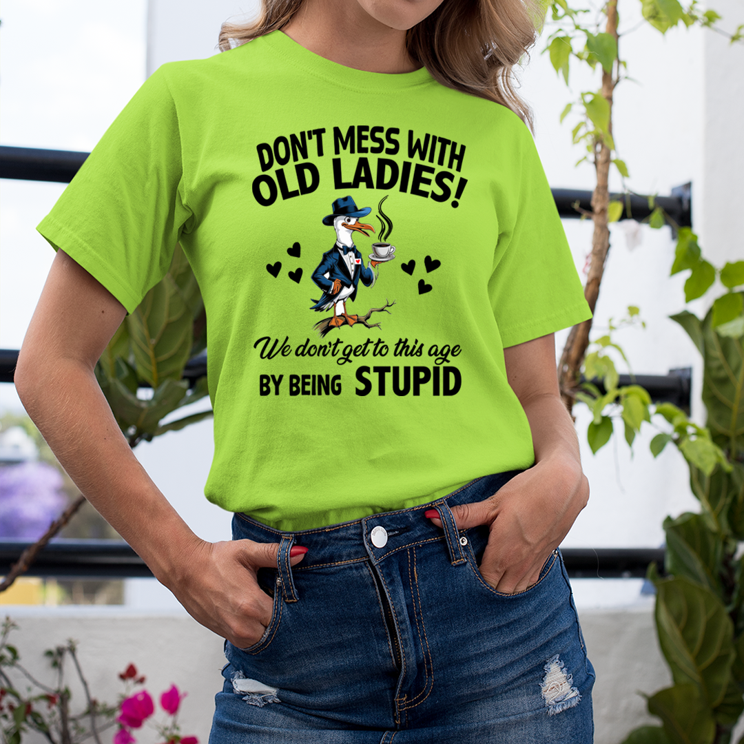 Don't Mess With Old Ladies! By Being Stupid - T-Shirt