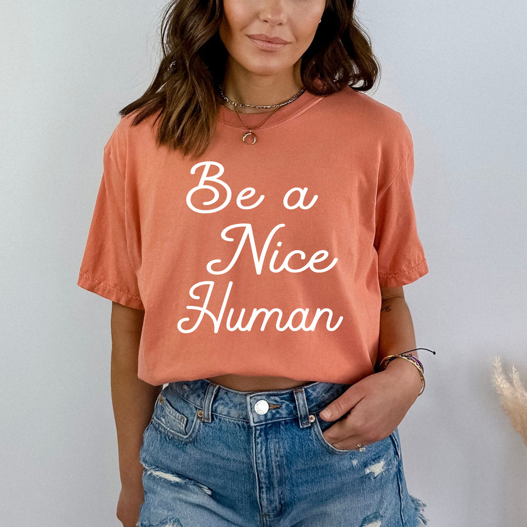 " Be a Nice Human " - Bella Canvas T-Shirt