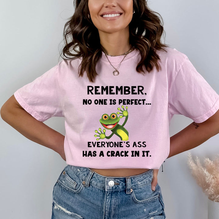 No One Is Perfect - Bella Canvas