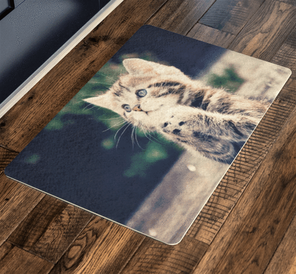 Cute Sweet Cat, Pets Special Doormat For homes Exclusive ( Best price Deal) - LA Shirt Company