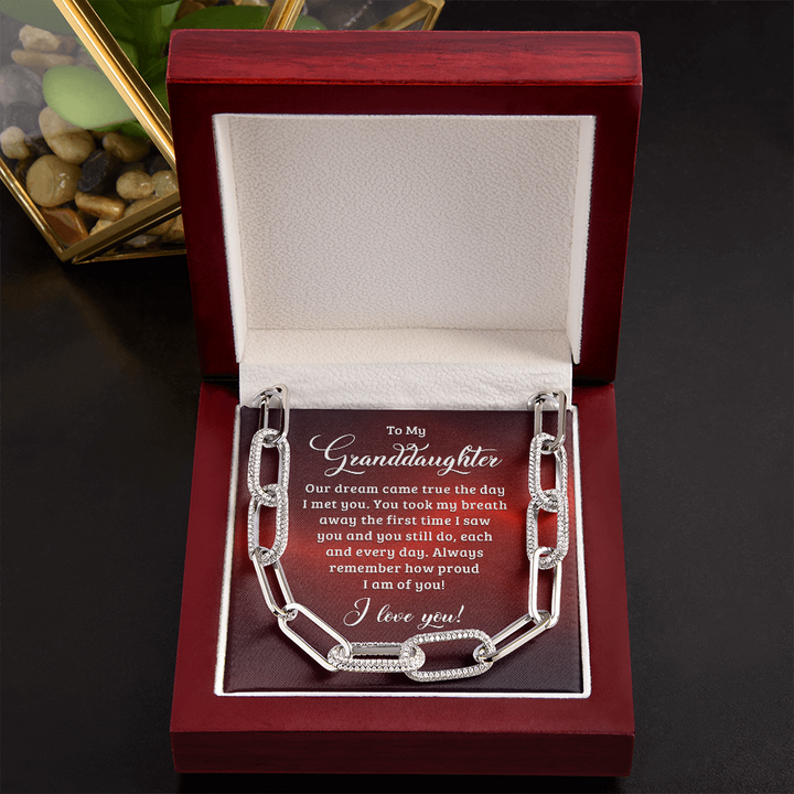 To My Granddaughter - Our dream came true the day I met you Forever Linked Necklace