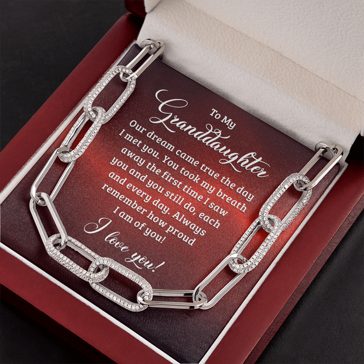 To My Granddaughter - Our dream came true the day I met you Forever Linked Necklace